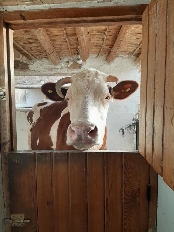 Jnane Tihihit Bed and Breakfast Lalla Takerkoust Eksteriør billede